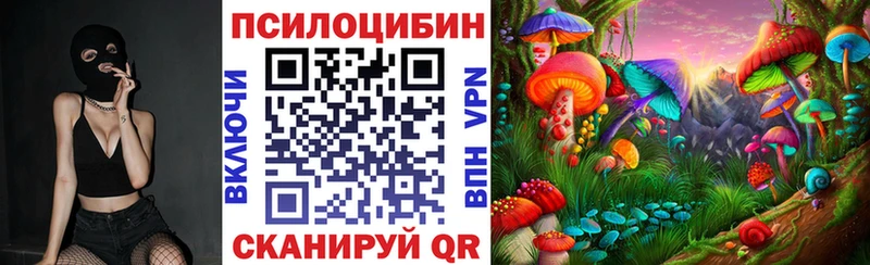 Галлюциногенные грибы прущие грибы  Купить  Волчанск 